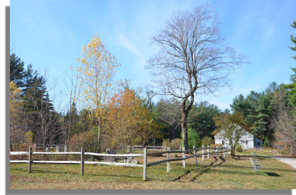 Jay Maine Community Guide Allied Realty